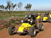 build your own dune buggy